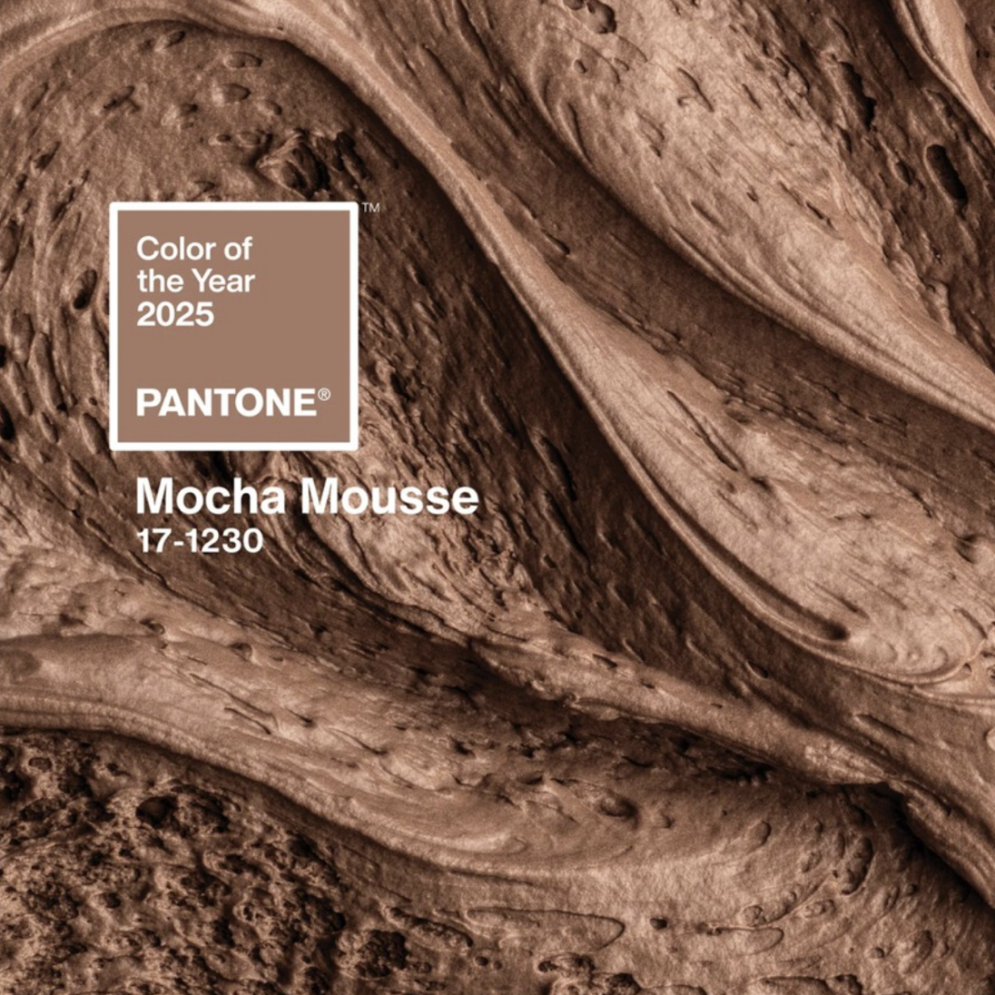 ประกาศเเล้วอย่างเป็นทางการ Pantone 2025  Mocha Mousse 